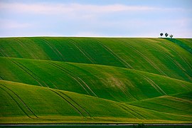 South Moravian Region, Czechia (Unsplash).jpg