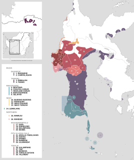 South Sulawesi languages Subgroup of the Austronesian language family