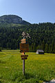 * Nomination Signpost near Spechtensee Hut, Styria --Uoaei1 04:07, 22 October 2015 (UTC) * Promotion Good quality. Maybe a bit harsh in the shadow --Hubertl 10:24, 22 October 2015 (UTC)