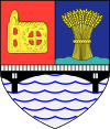 雅洛米察縣的徽章