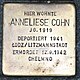 Stolperstein Anneliese Cohn Wuppertal.jpg