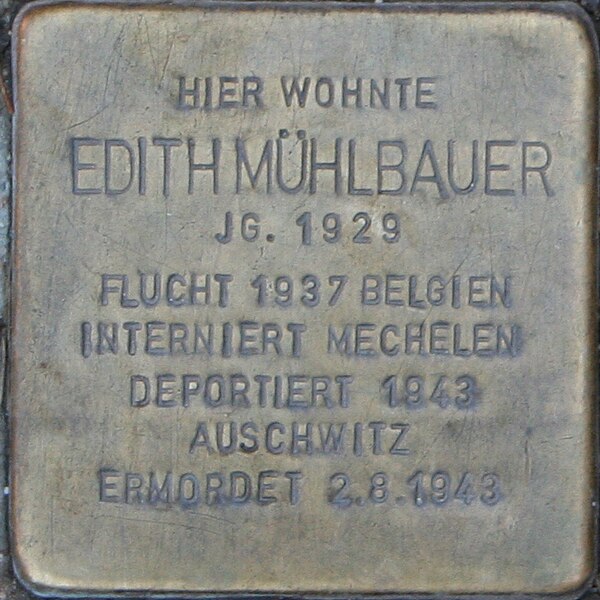 File:Stolperstein Halle Edith Mühlbauer.JPG