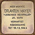 Stolperstein für Dr. Anton Mayer (Kleinmachnow).jpg
