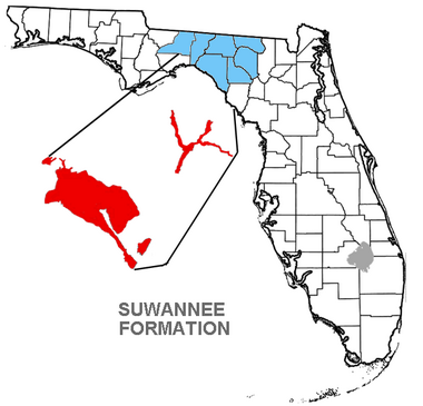 Location of Suwannee Formation in red. Suwannee Formation map.png