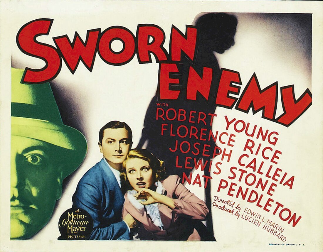 Sworn Enemy (film)