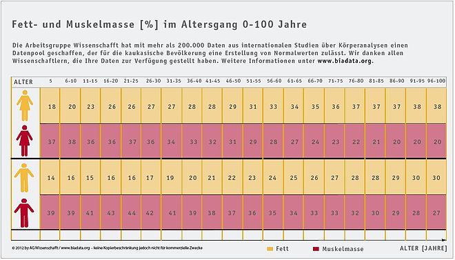 Körperanalysen Normalwerte; Fett- und Muskelmasse in %