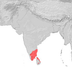 Språk Tamil: Historie, Dialekter, Beslektede språk