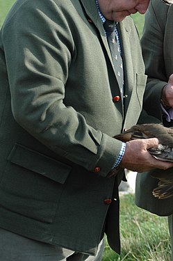 An olive wool Teba with leather buttons in a bird hunt in Suffolk, England.