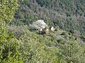 A casa d'o barranco de Sant Martín (termin municipal de Boltanya, comarca de Sobrarbe)