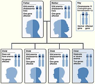 <span class="mw-page-title-main">Beta thalassemia</span> Blood disorder