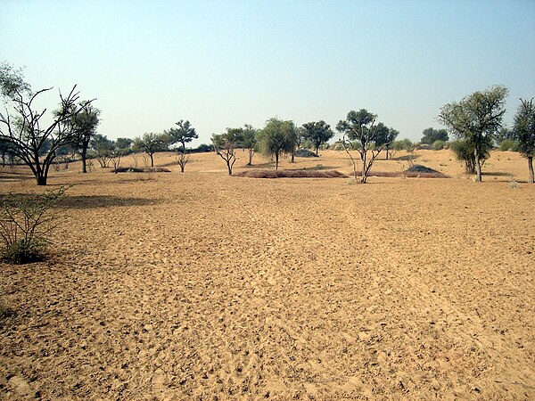 View of the Thar Desert