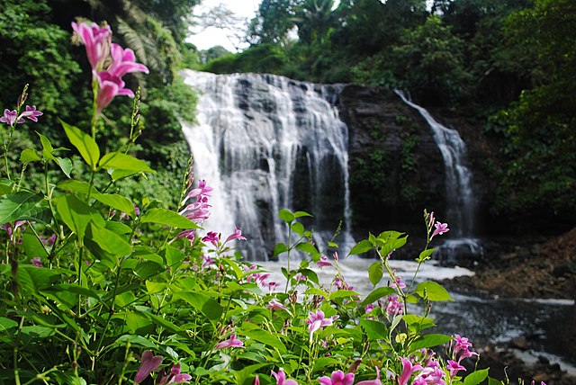 Image: The Beauty of Hinulugang taktak Falls
