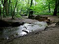 The River Shuttle as it passes through Bexley Woods near Bexley.