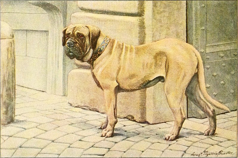 File:The book of dogs; an intimate study of mankind's best friend (1919) (19775919283).jpg