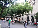 Català: Til·lers de la Rambla de Catalunya. Rambla de Catalunya. Eixample (Barcelona). ca:Tilia x europaea i ca:Tilia tomentosa. This is a a photo of a protected or outstanding tree in Catalonia, Spain, with id: MA-080193/0105-02-96 Object location 41° 23′ 43.92″ N, 2° 09′ 26.58″ E  View all coordinates using: OpenStreetMap