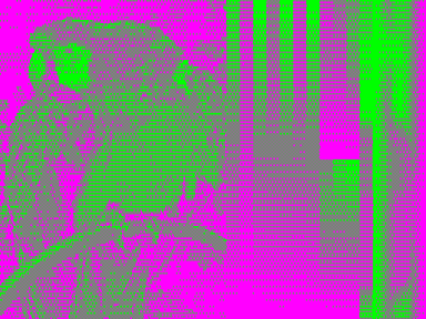 512x192x2 example image with Magenta & Green palette