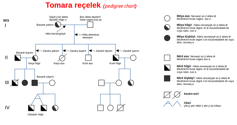 File:Tomara reçelek ku.png