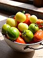 Romana-, Green Zebra- und hellgelber Typ gemischt / Tomatoe mix