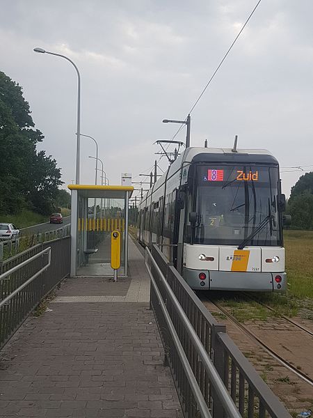 Bestand:Tram 8 aan P+R Wommelgem.jpg