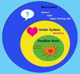 Triune Brain