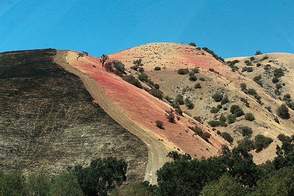 Fire retardant dispersed aerially onto brush adjoining a firebreak to contain the Tumbleweed Fire in California, in July 2021