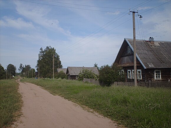 Фото псковских деревень. Деревня Турея Псковская область. Стругокрасненский район Псковской области. Марьинская волость Стругокрасненский район. Деревня Поречье, Стругокрасненский район Псковской губернии..