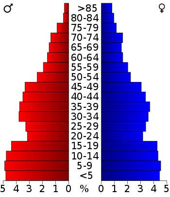 USA Moore County, Texas age pyramid.svg