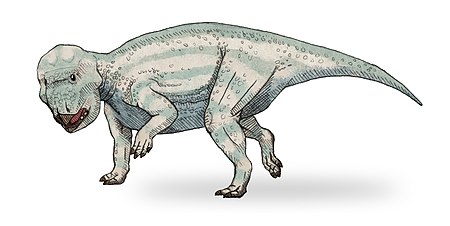 Tập_tin:Udanoceratops_sketch2.jpg