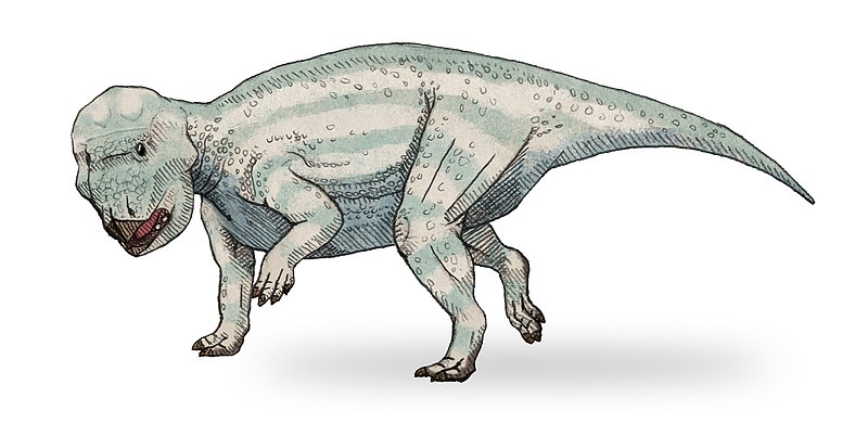 File:Udanoceratops sketch2.jpg