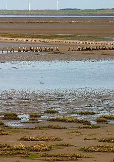 Wadden Sea National Park, Denmark National park in Denmark