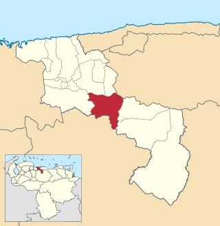 <span class="mw-page-title-main">San Sebastián Municipality</span> Municipality in Aragua, Venezuela