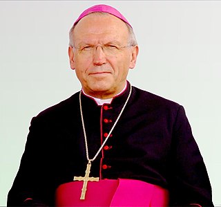 <span class="mw-page-title-main">Anton Stres</span> 20th and 21st-century Slovenian Catholic Archbishop