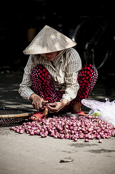 File:Vietnam (Unsplash N028PITAESc).jpg