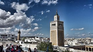 View of the medina of Tunis.jpeg