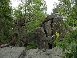 Vrcholová skála na Vyklestilce (887 m) - jednom z vrcholů Přírodního parku Vyšebrodsko