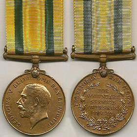Territoriale Force War-medaille