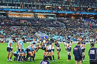Rugby union in New South Wales