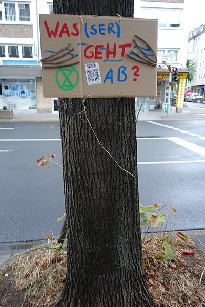 File:Was(ser) geht ab? Extinction Rebellion, Düsseldorf, 21. August 2020.jpg