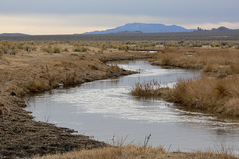 File:White River Nevada 4.jpg