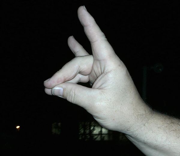 The nationalist Wolf salute, used by the Grey Wolves.