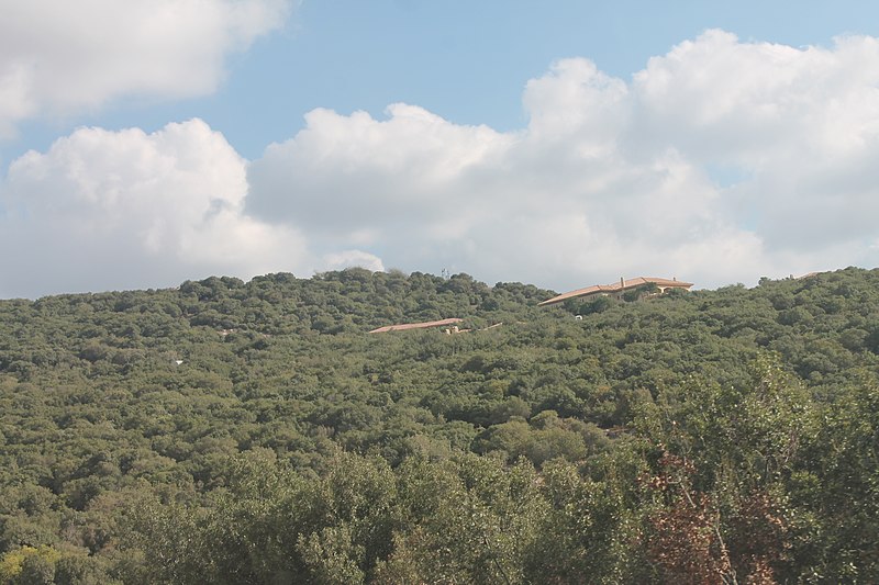 File:Z Ajloun Castle JO 5.JPG