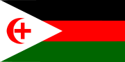 Миниатюра для Файл:"An Arab From Haifa" proposed Palestine flag (alternative 3).svg