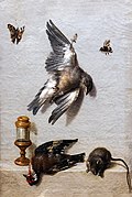 Nature morte avec deux oiseaux morts, une souris et trois insectes (Still life with two dead birds, a mouse and three insects) - Jean-Baptiste Oudry - Musée des Beaux-Arts d'Agen