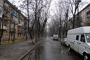 Vasyl Chumak Calle Kyiv 2011 03.JPG