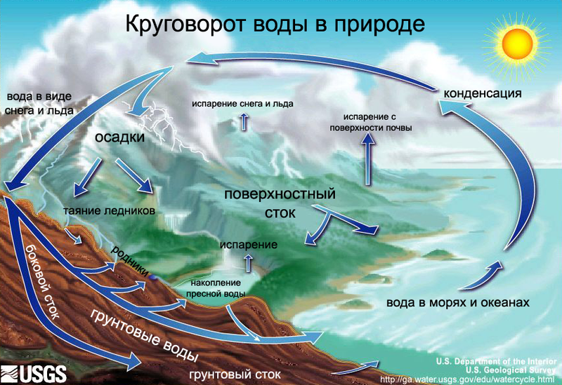 Кто дает заключение по воде