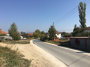 Патот низ селото