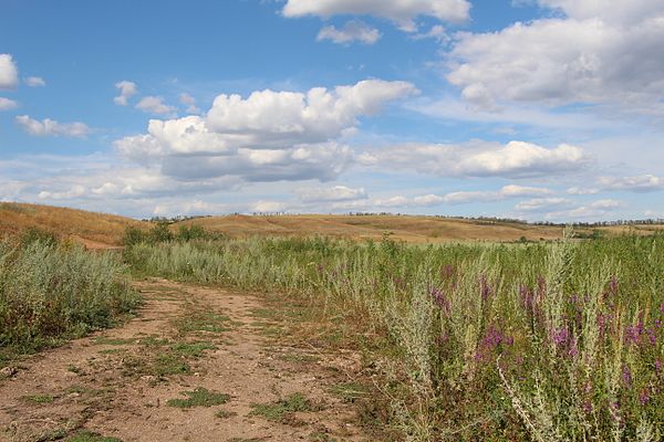 Steppe landscape in the Samara region