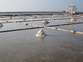 北門井仔腳瓦盤鹽田 维基百科 自由的百科全书