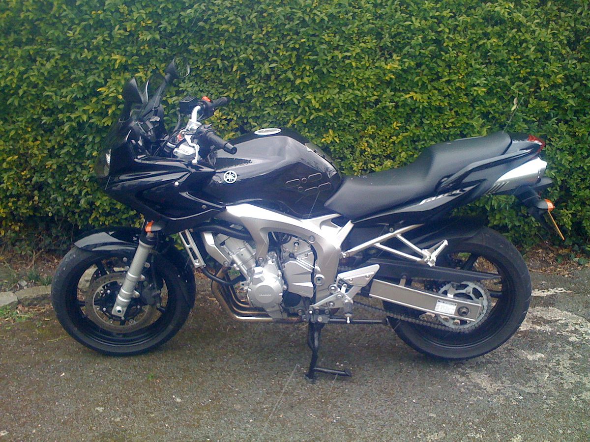 Yamaha FZ 600 2008