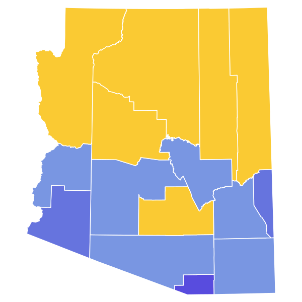 File:2022 Arizona Secretary of State Democratic primary election results map by county.svg